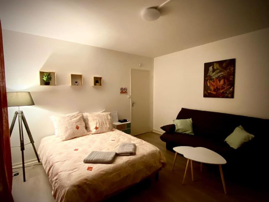 T2 Cosy Proche Hopital + Parking Gratuit Sur Place 欧塞尔 外观 照片